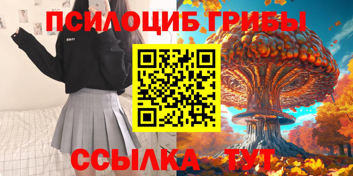 Псилоцибиновые грибы мухоморы  Вход с VPN  что такое   Качканар 